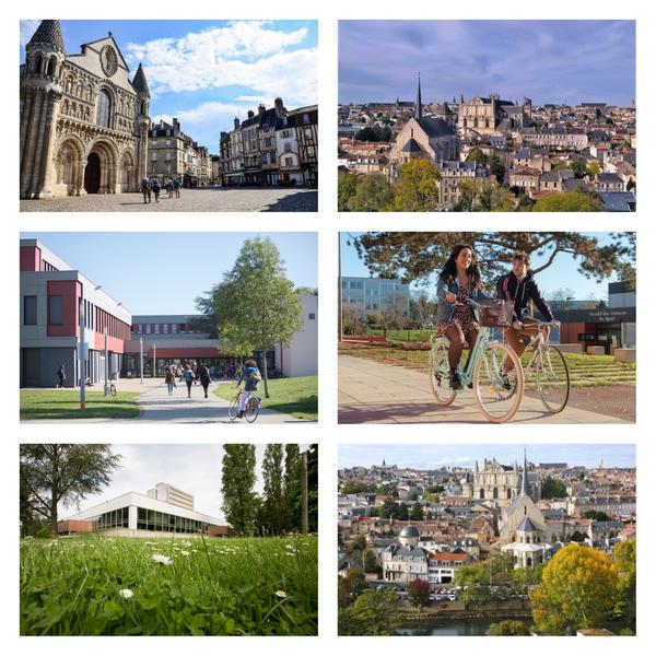 Mosaique Poitiers